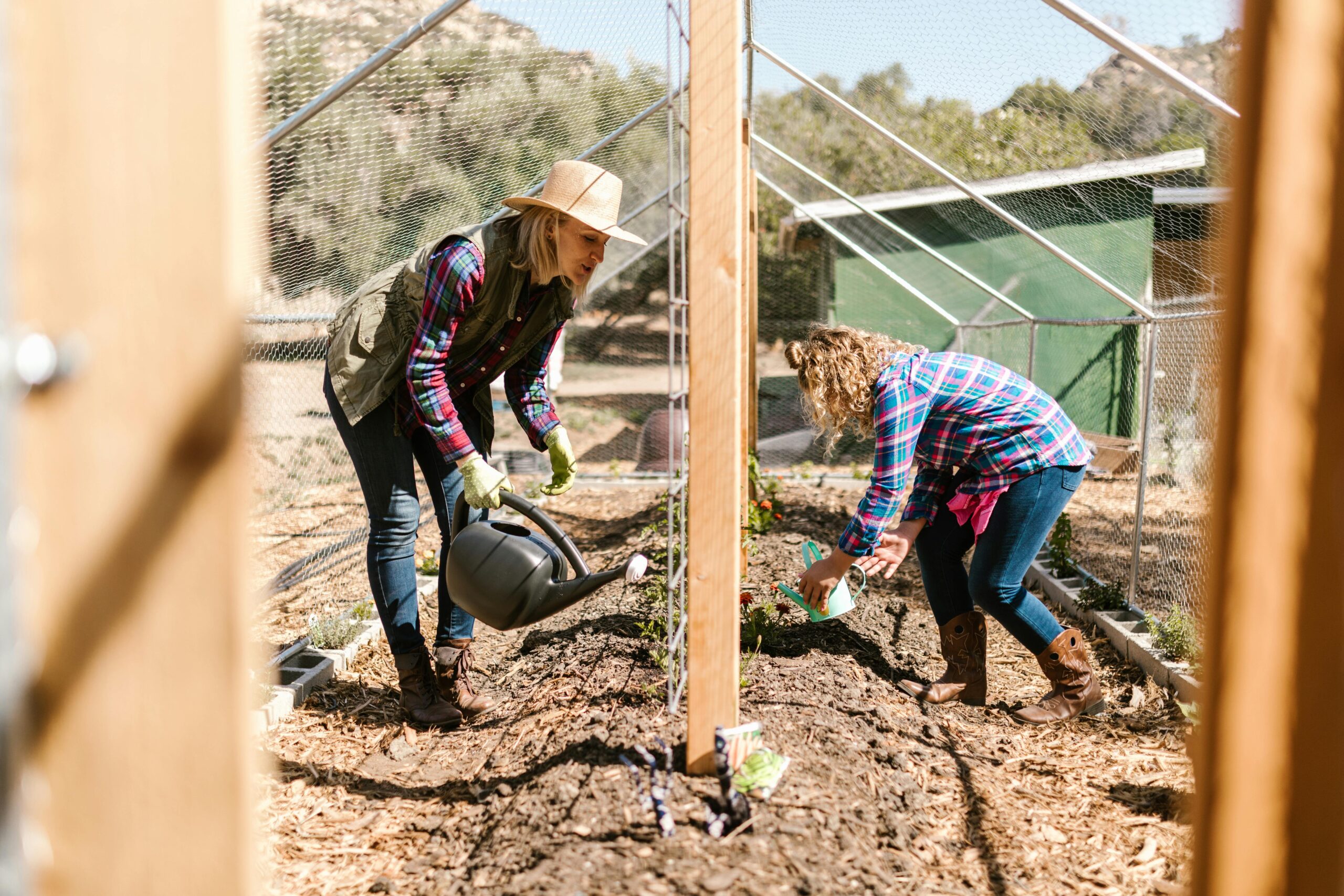 Two women tending to a garden in a greenhouse, watering plants on a sunny day.