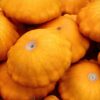 Patisona stāds Orange