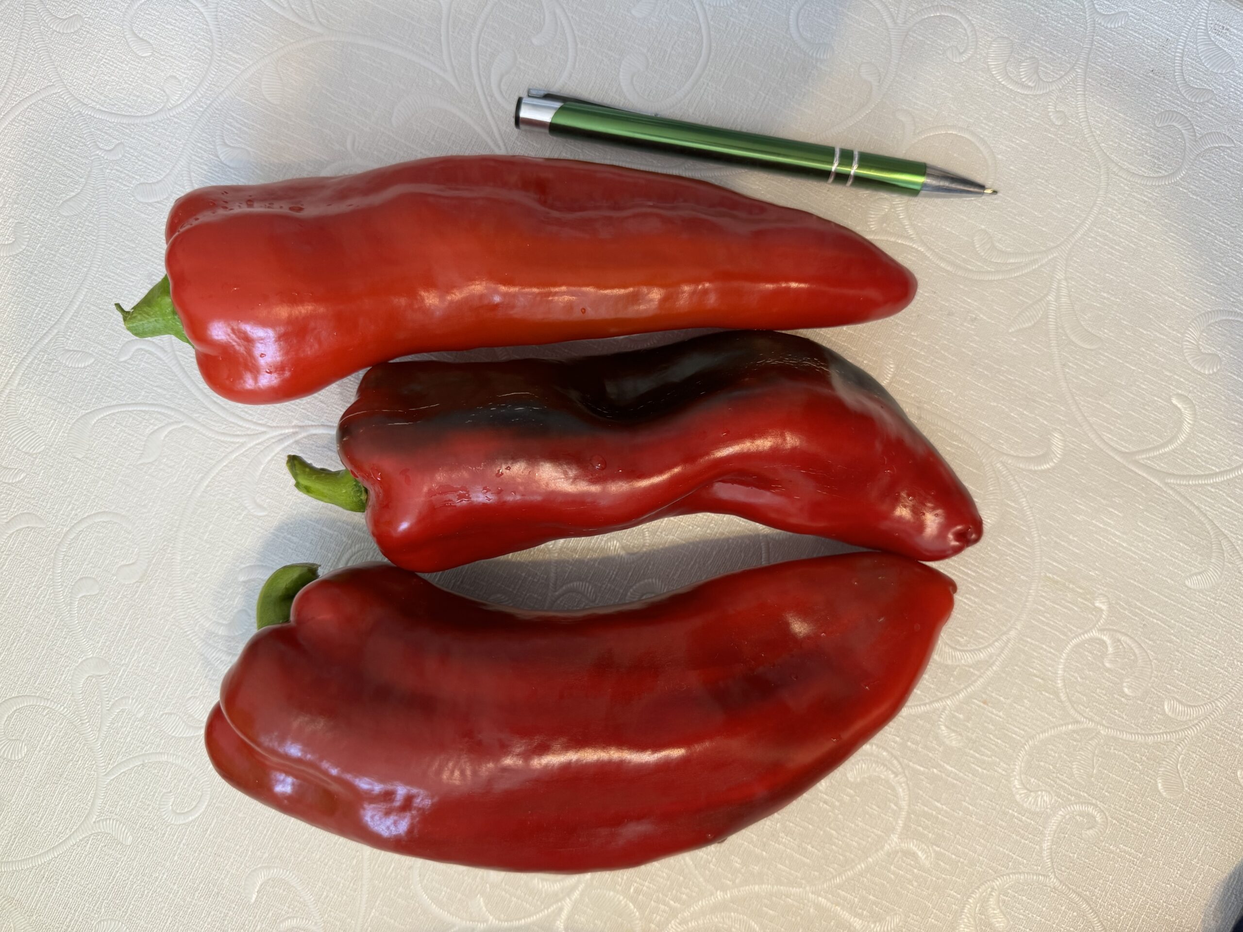 Paprikas stāds Kornelya F1