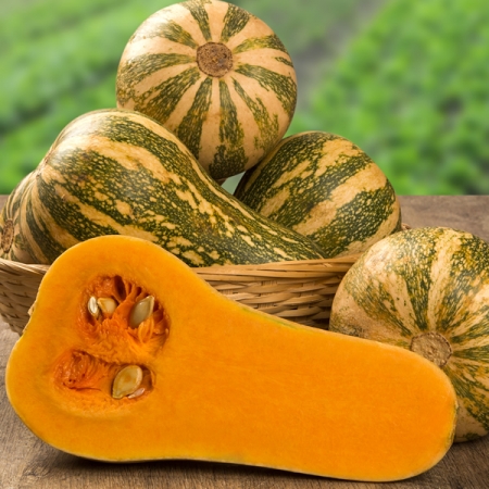 Sviesta ķirbja stāds