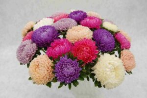 Asteres-Beaytiful Day Mix